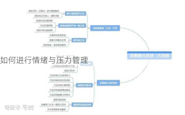 如何进行情绪与压力管理