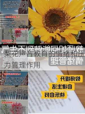 梨花声音教育的情绪和压力管理作用