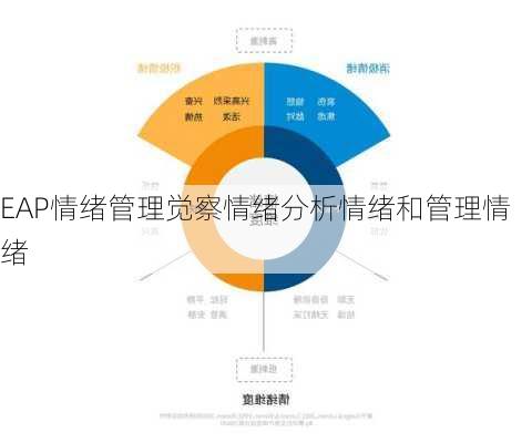 EAP情绪管理觉察情绪分析情绪和管理情绪