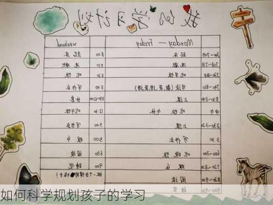 如何科学规划孩子的学习