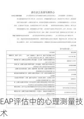EAP评估中的心理测量技术