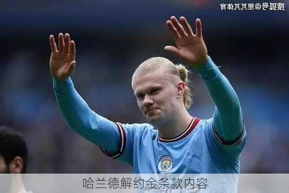 哈兰德解约金条款内容