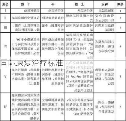 国际康复治疗标准
