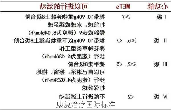 康复治疗国际标准