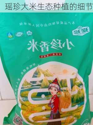 瑶珍大米生态种植的细节