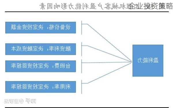企业投资策略