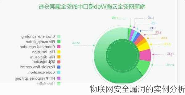 物联网安全漏洞的实例分析