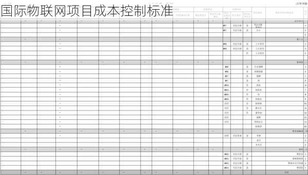 国际物联网项目成本控制标准