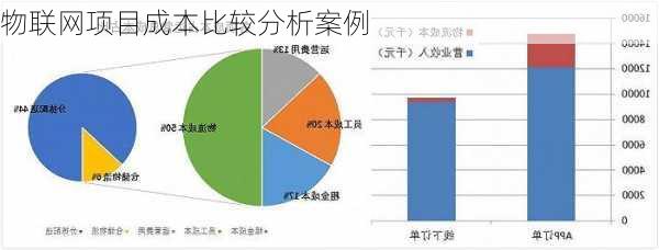 物联网项目成本比较分析案例