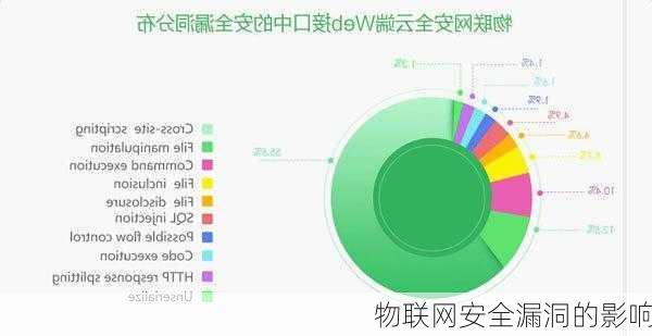 物联网安全漏洞的影响