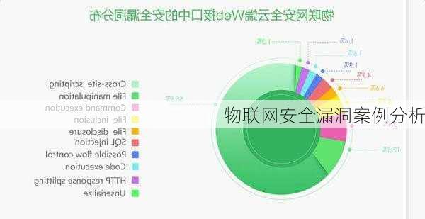 物联网安全漏洞案例分析