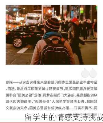 留学生的情感支持挑战