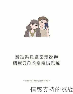 情感支持的挑战