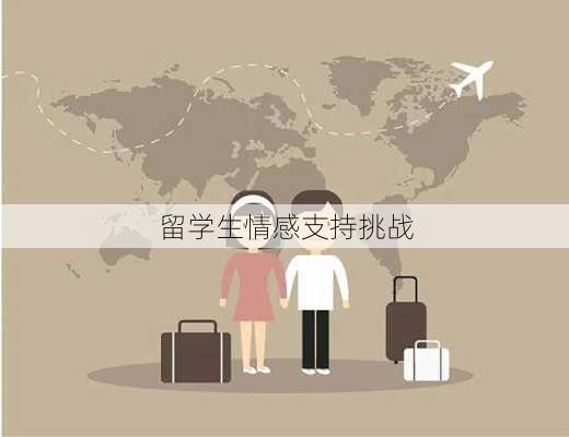 留学生情感支持挑战
