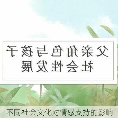不同社会文化对情感支持的影响