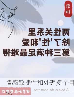 情感敏捷性和处理多个目标
