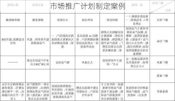 市场推广计划制定案例