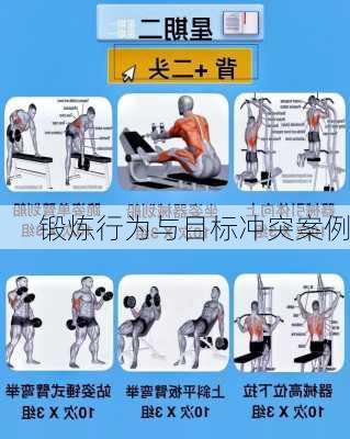 锻炼行为与目标冲突案例