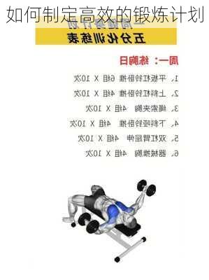 如何制定高效的锻炼计划