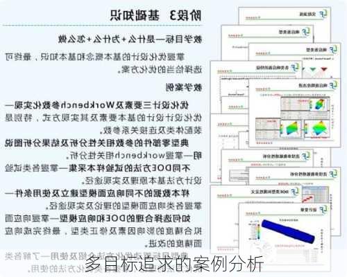 多目标追求的案例分析