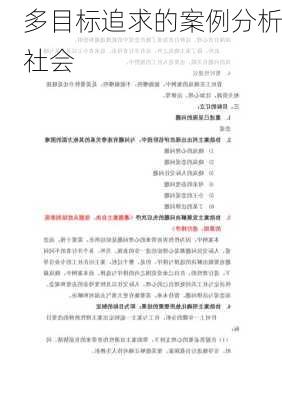 多目标追求的案例分析社会