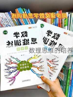 数理思维的培养