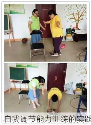 自我调节能力训练的实践
