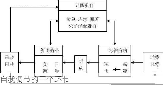 自我调节的三个环节