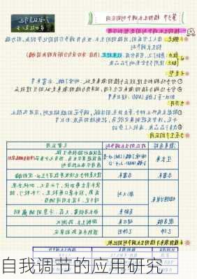 自我调节的应用研究