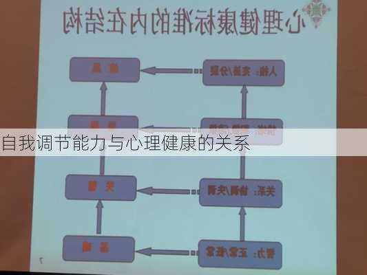 自我调节能力与心理健康的关系