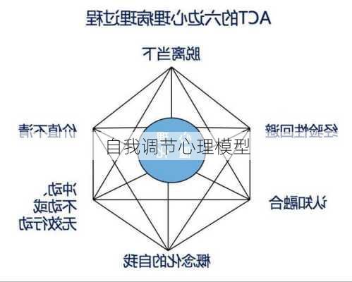 自我调节心理模型