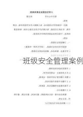 班级安全管理案例