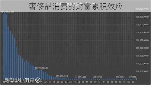 奢侈品消费的财富累积效应