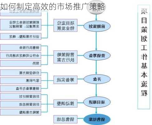 如何制定高效的市场推广策略