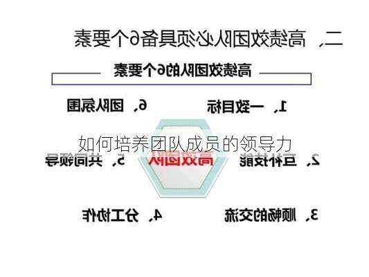 如何培养团队成员的领导力
