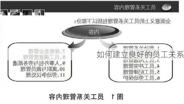 如何建立良好的员工关系