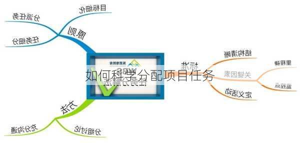 如何科学分配项目任务