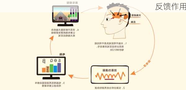 反馈作用