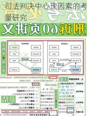 司法判决中心理因素的考量研究