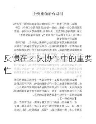 反馈在团队协作中的重要性