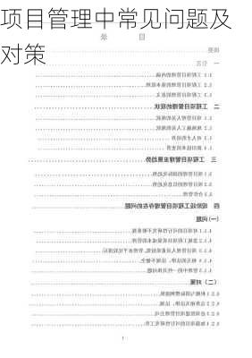 项目管理中常见问题及对策