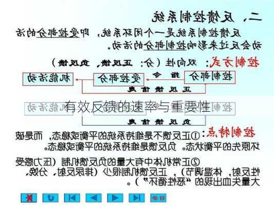 有效反馈的速率与重要性
