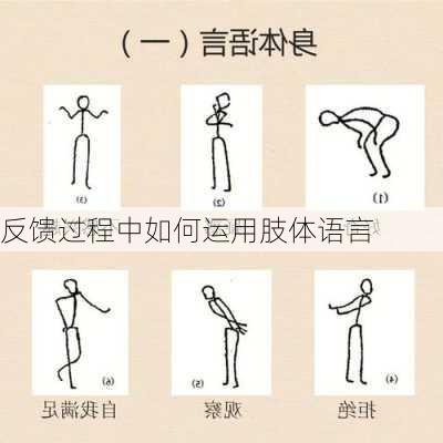 反馈过程中如何运用肢体语言