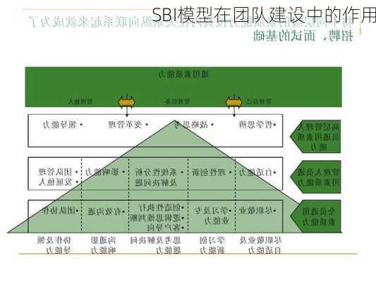SBI模型在团队建设中的作用
