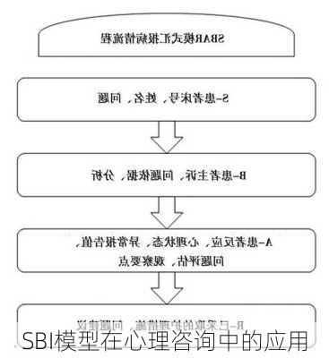 SBI模型在心理咨询中的应用