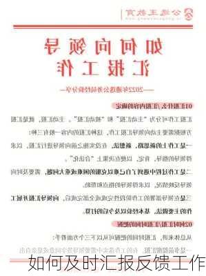 如何及时汇报反馈工作
