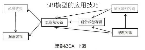 SBI模型的应用技巧