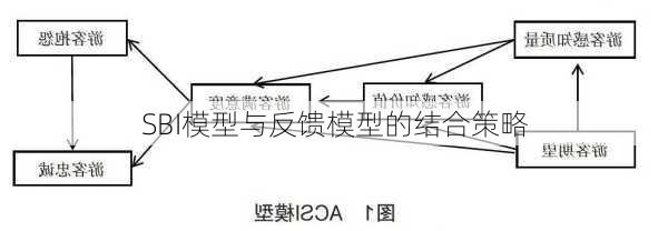SBI模型与反馈模型的结合策略