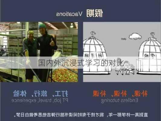 国内外沉浸式学习的对比