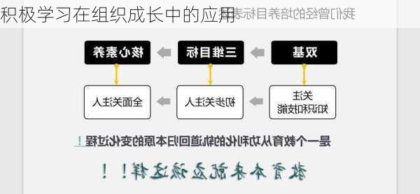 积极学习在组织成长中的应用